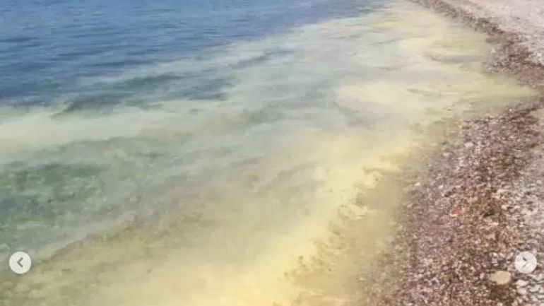 Πάτρα: Κιτρίνισε η θάλασσα, ανησύχησε ο κόσμος – Πού οφείλεται το φαινόμενο